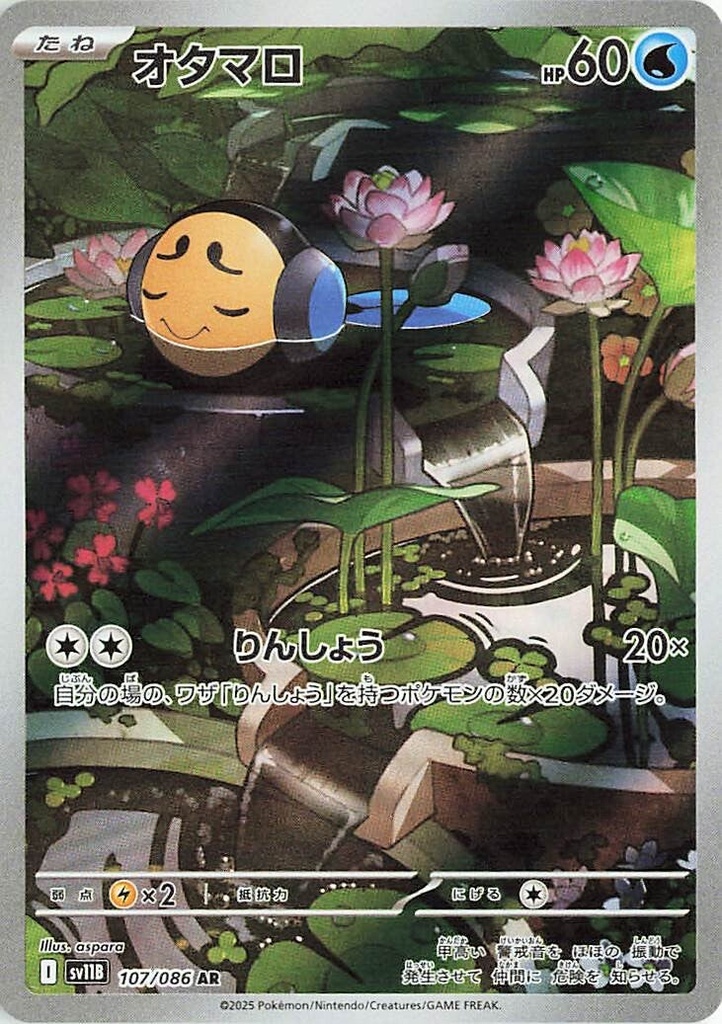 Tympole SV11B 107/086 AR JPN