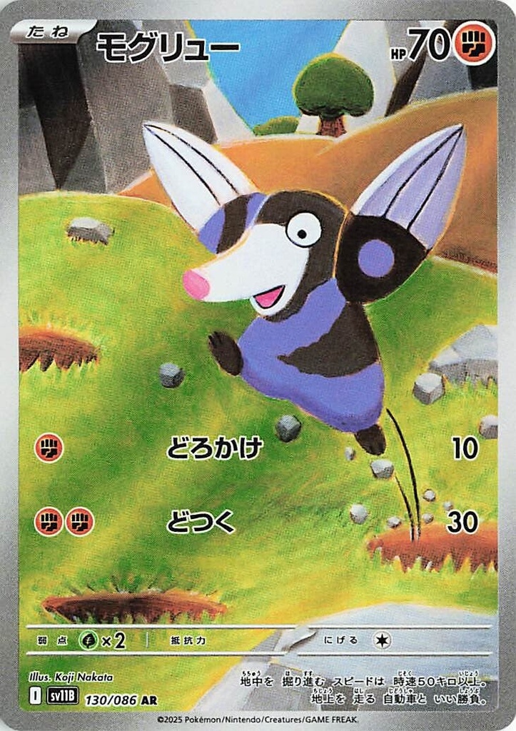 Dirlbur SV11B 130/086 AR JPN