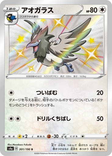 [Corvisquire S4A 301/190 S JPN] Corvisquire S4A 301/190 S JPN