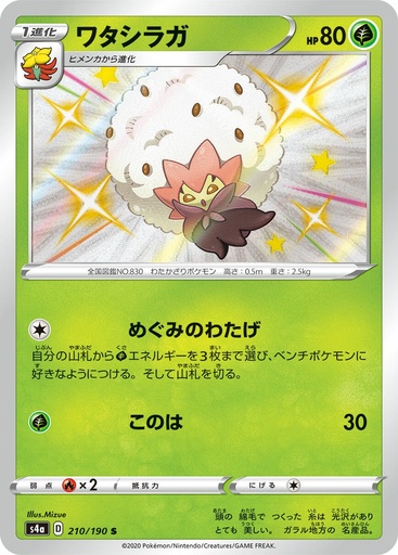 [Eldegross S4A 210/190 S JPN] Eldegross S4A 210/190 S JPN
